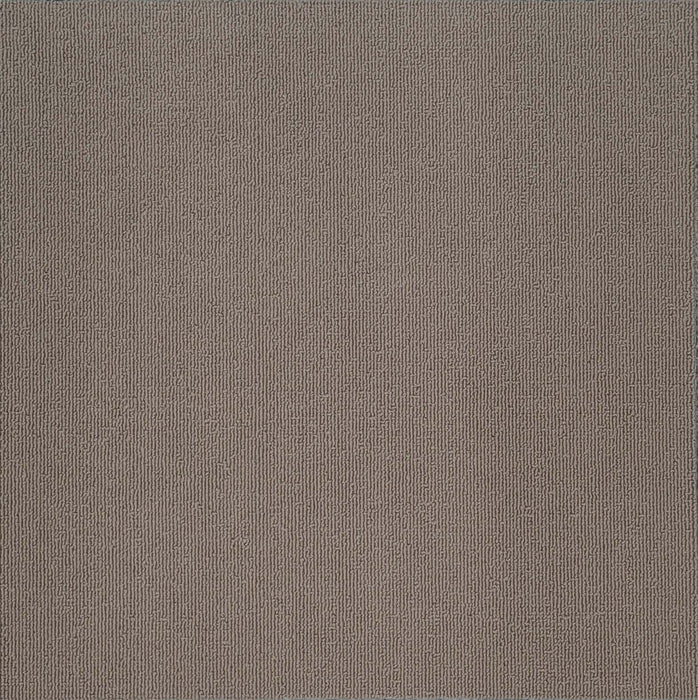 Taupe Carpet Tile 19.69" X 19.69" (50cm X 50cm)